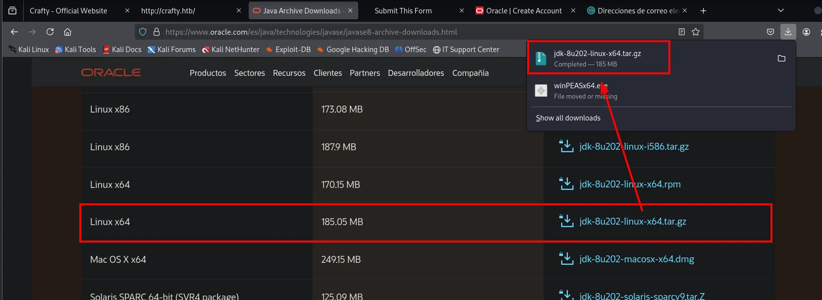 La página de descargas del archivo de Java SE 8 de Oracle con jdk-8u202-linux-x64.tar.gz (185.05 MB) marcado y el gestor de descargas confirmando "Completed" con 185 MB