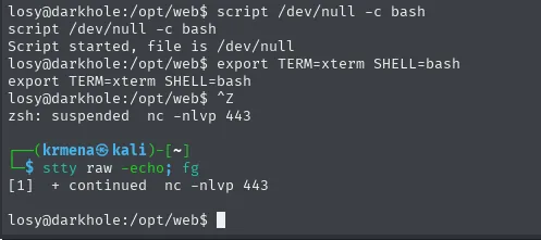 Secuencia del tratamiento de la TTY: script /dev/null -c bash, export TERM, Ctrl+Z suspendiendo el nc y stty raw -echo; fg devolviendo el prompt de losy