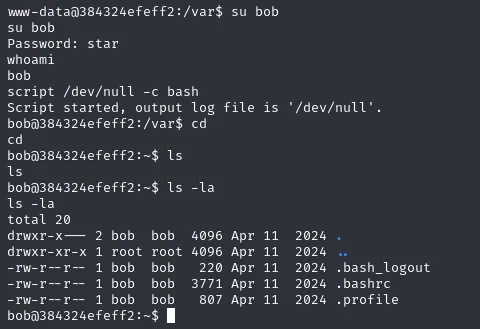 su bob con la contraseña star funciona; script estabiliza la shell y ls muestra el home de bob