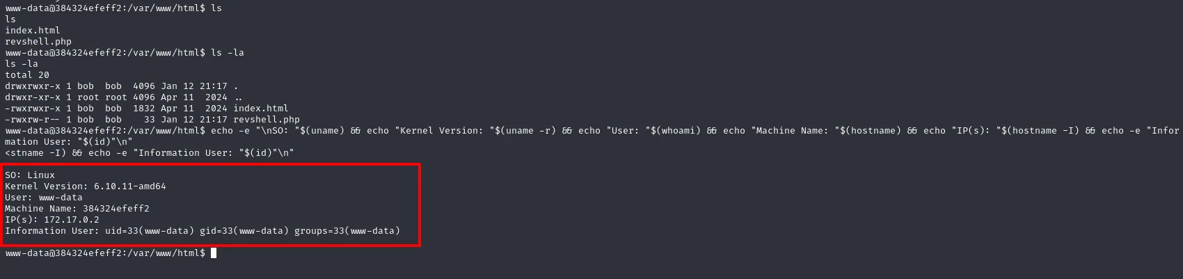 el one-liner de información imprime SO Linux, kernel 6.10.11-amd64, usuario www-data y host 384324efeff2