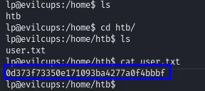 cat /home/htb/user.txt devuelve la flag de usuario desde la shell de lp