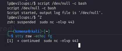la sesión se suspende con Ctrl+Z y se recupera con stty raw -echo y fg