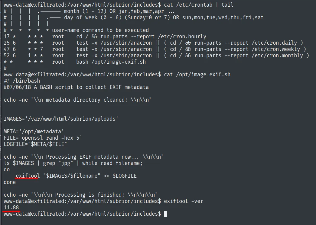 crontab con la tarea root que ejecuta /opt/image-exif.sh; el script corre exiftool sobre /var/www/html/subrion/uploads; exiftool -ver = 11.88