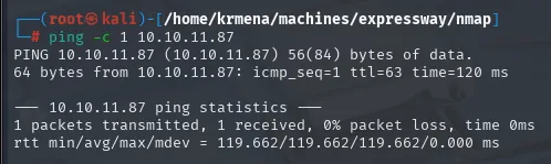 ping a 10.10.11.87: ttl=63 apunta a Linux