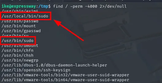 find SUID: dos binarios sudo, /usr/bin/sudo y /usr/local/bin/sudo