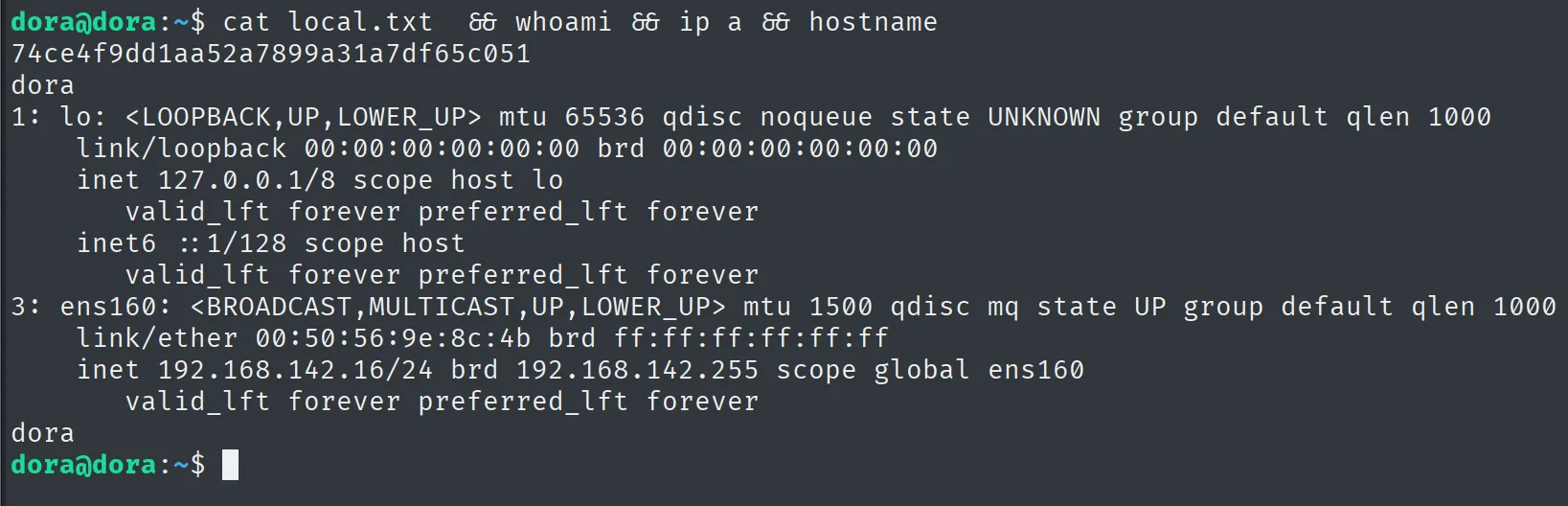 local.txt leido como dora en dora, con IP 192.168.142.16 y hostname dora