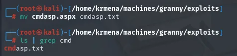 el mv deja el fichero como cmdasp.txt y el ls filtrado por cmd lo confirma