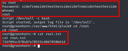 su root con la contraseña recuperada por Depix da shell de root y cat root.txt devuelve la flag