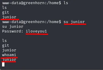 ls /home lista git y junior; su junior con la contraseña iloveyou1 funciona y whoami devuelve junior