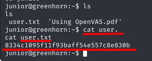 el home de junior contiene user.txt y Using OpenVAS.pdf; cat user.txt devuelve la flag