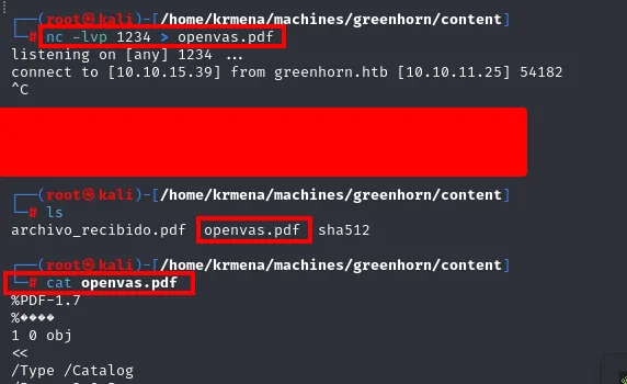 el nc a la escucha en el 1234 recibe la conexión desde greenhorn.htb; ls muestra openvas.pdf y cat empieza por %PDF-1.7