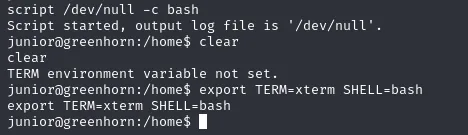 script /dev/null -c bash arranca una shell con pty y export TERM=xterm SHELL=bash deja el prompt de junior operativo