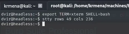 en la sesión de dvir se exportan TERM=xterm y SHELL=bash y se ajusta el tamaño a 49 filas por 236 columnas