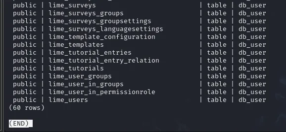 \dt en psql listando 60 tablas del esquema public, todas con prefijo lime_, entre ellas lime_users
