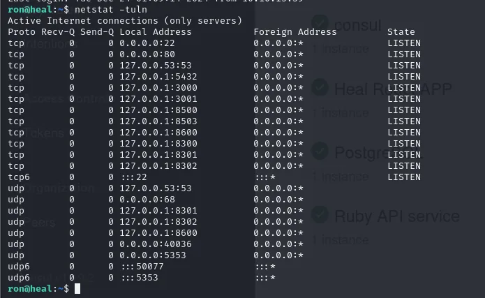 netstat -tuln en heal mostrando, además del 22 y el 80 públicos, una decena de puertos escuchando solo en 127.0.0.1: 5432, 3000, 3001, 8500, 8503, 8600, 8300, 8301 y 8302