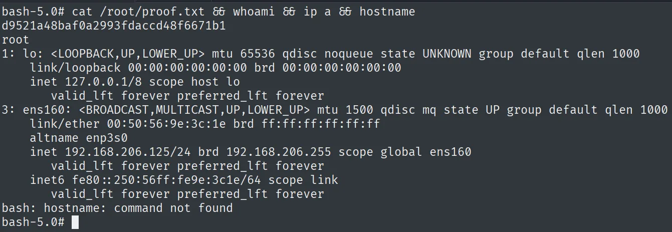 proof.txt leída como root en hunit (192.168.206.125)