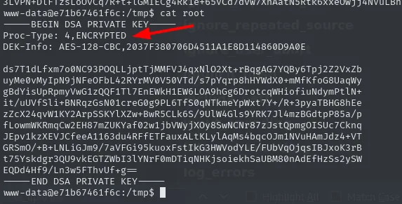 el cat de la clave privada muestra la cabecera BEGIN DSA PRIVATE KEY con Proc-Type 4,ENCRYPTED y DEK-Info AES-128-CBC