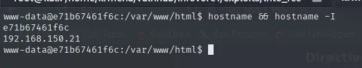 hostname devuelve e71b67461f6c y hostname -I devuelve una única IP, 192.168.150.21, distinta de la 192.168.1.156 escaneada