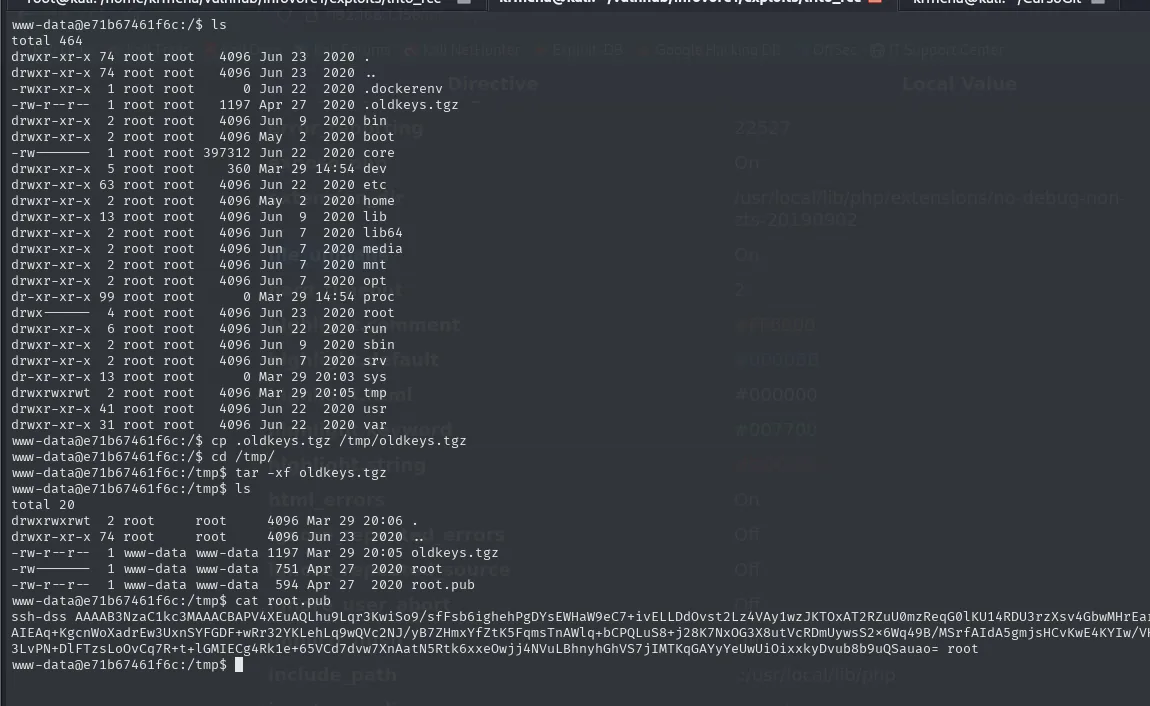ls -la en la raíz mostrando el fichero .dockerenv junto a un .oldkeys.tgz de 1197 bytes