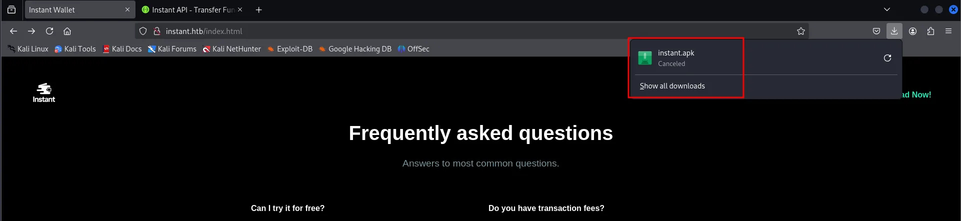 el gestor de descargas de Firefox registra instant.apk, en esta primera tentativa como Canceled