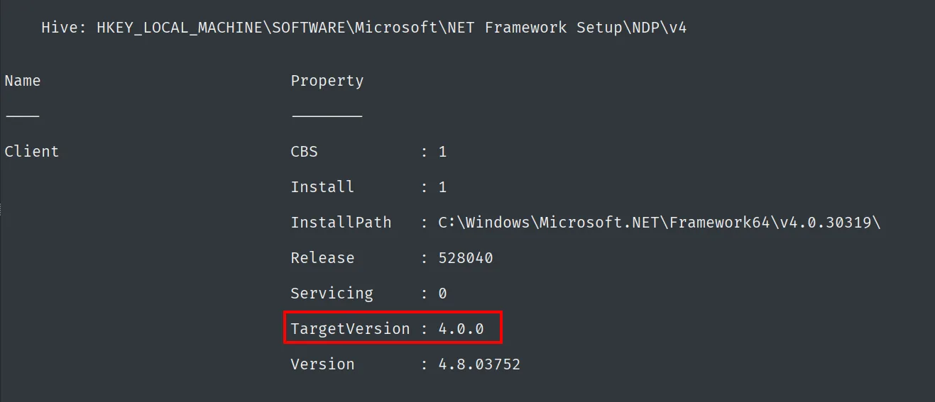 El registro muestra .NET Framework v4 con TargetVersion 4.0.0 y Version 4.8.03752