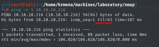 ping a 10.10.10.216: ttl=63 confirma Linux