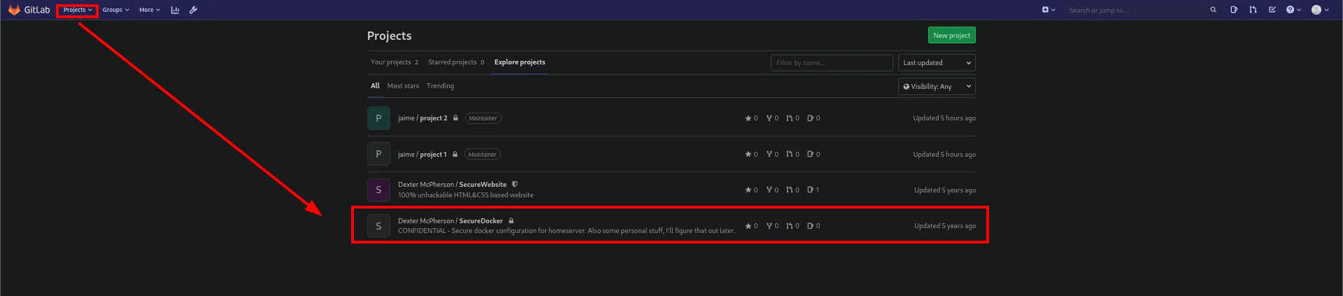 panel de admin de GitLab: proyectos privados de dexter visibles