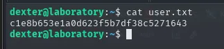 user.txt leído como dexter