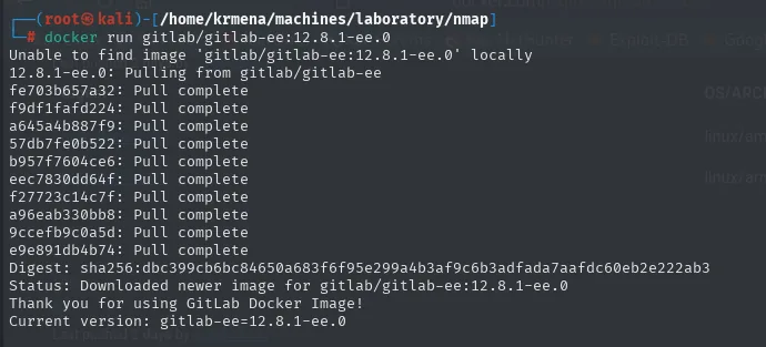 docker run gitlab-ee:12.8.1-ee.0 levantado en local