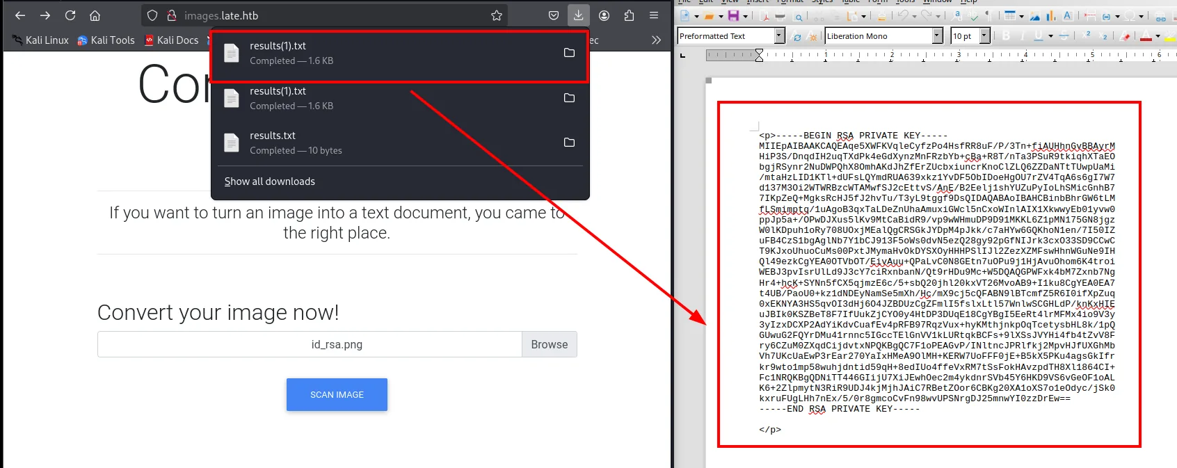 Resultado .txt con la clave RSA completa