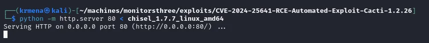 el http.server sirviendo el binario descomprimido en el puerto 80