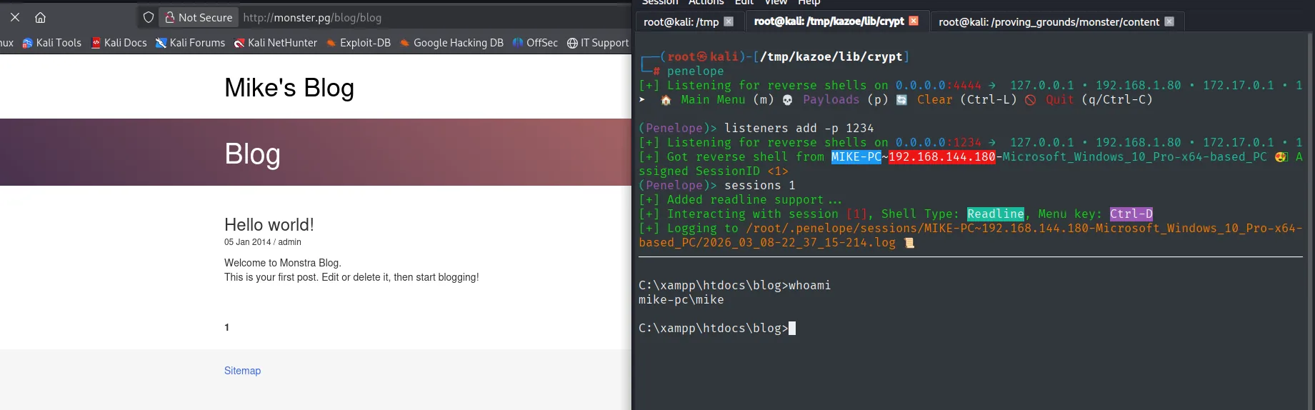 Reverse shell recibida