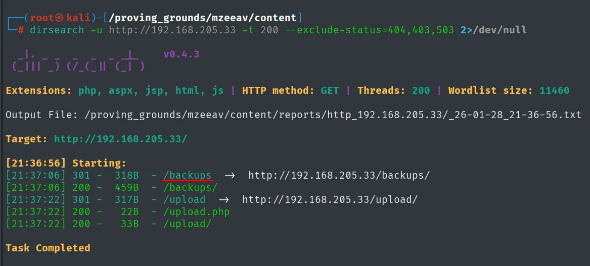 dirsearch v0.4.3 encuentra /backups, /backups/, /upload, /upload.php y /upload/ en el objetivo